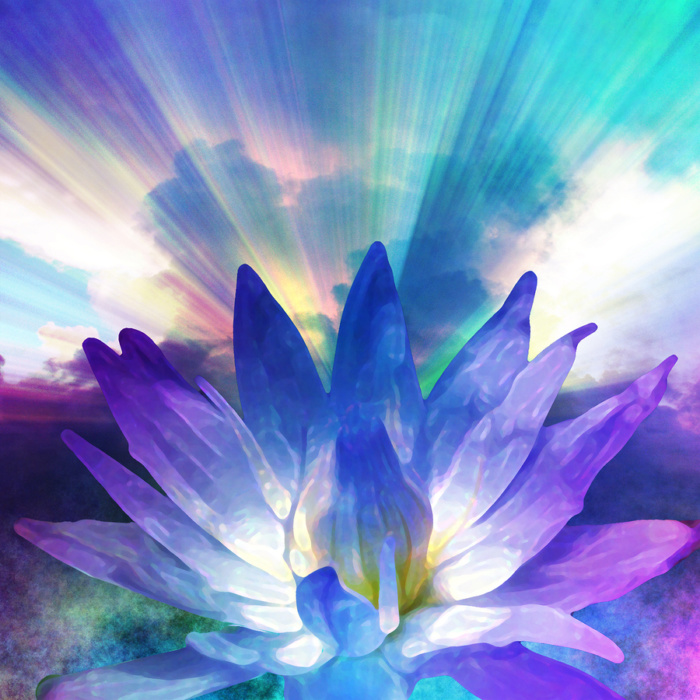bigstock lotus light 16045187