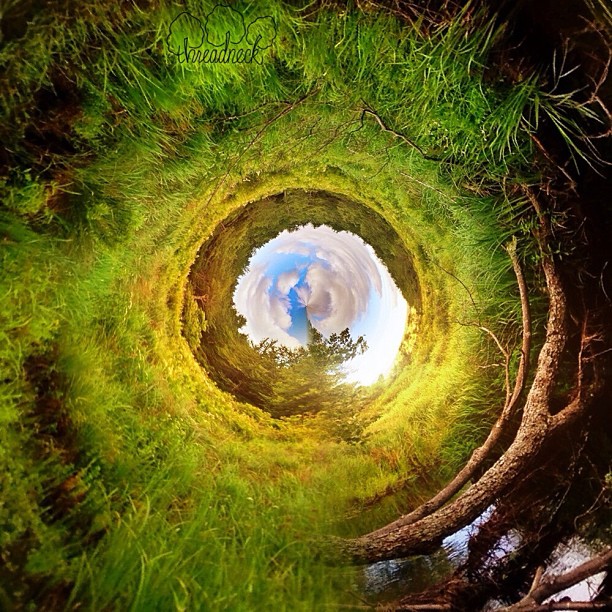 through the rabbit hole