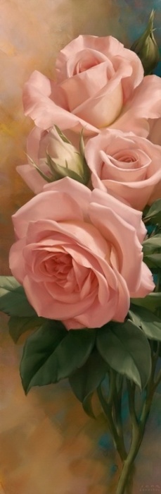 tumblr_mn75oi8TqE1s9g8apo1_500