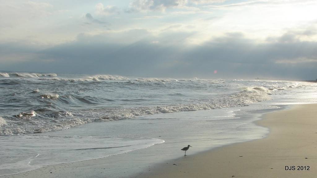 the sea