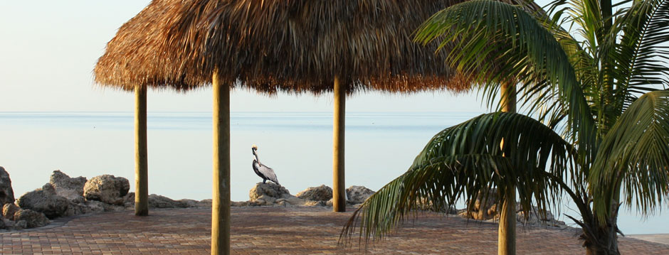 Carefree Resorts