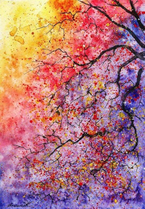 colorful e1534113801531