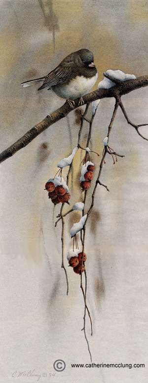 "Snowbird" by Catherine McClung
