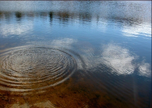 pebbles ripples pond