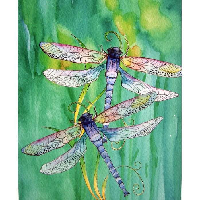dragon flys