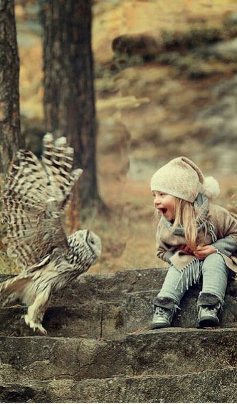 owl and child