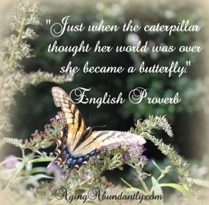 Butterflies 8 25 2014 2 e1522348506709