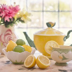 lemon e1541642477140