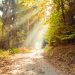 autumn 3753910 640