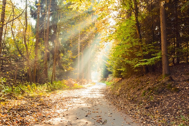 autumn 3753910 640