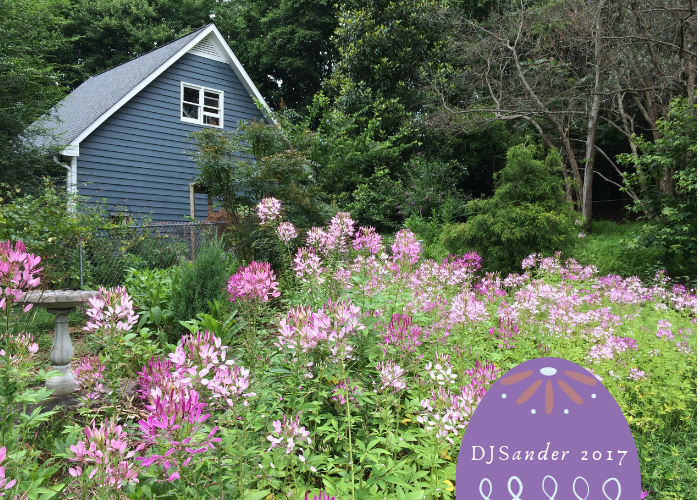deck gardening