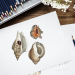 sea shells