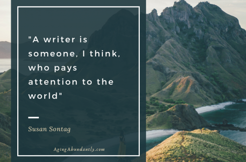 Susan Sontag quote