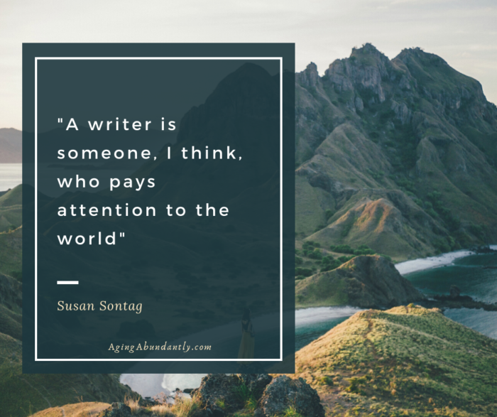 Susan Sontag quote