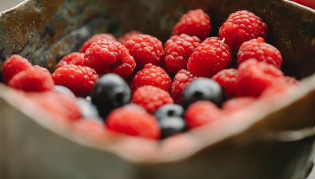antioxidant diet