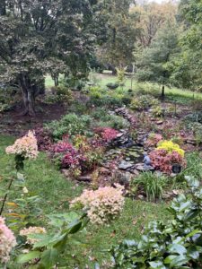 Carolyn's Garden
