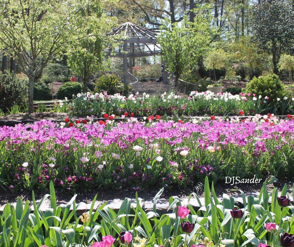 duke gardens