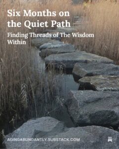 Six Months on the Quiet Path Substack Guide