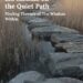 Six Months on the Quiet Path Substack Guide