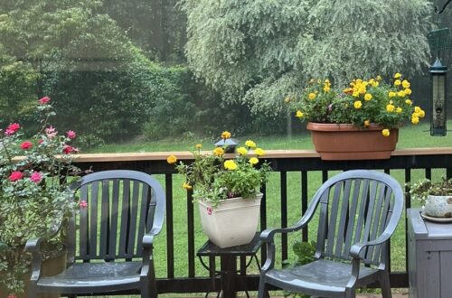 summer rain deck and chairs